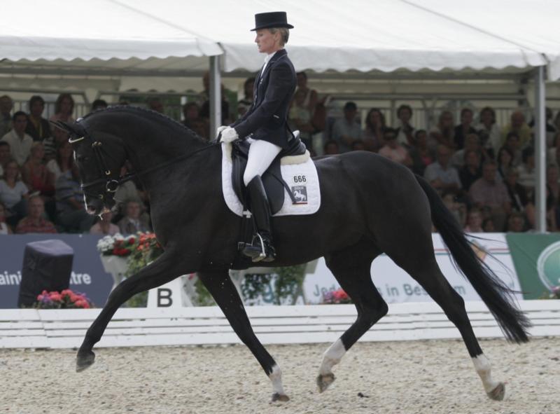 Silberaster ridden by Helen Langehanenberg